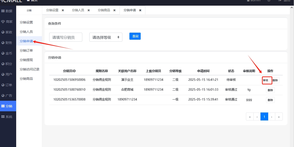 分销员审核页面